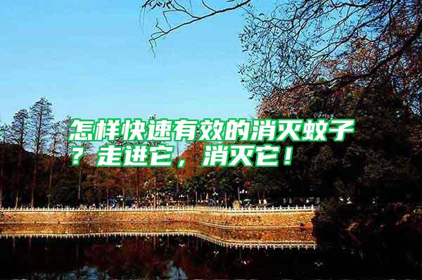 怎樣快速有效的消滅蚊子？走進(jìn)它，消滅它！
