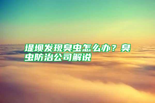 堤壩發現臭蟲怎么辦？臭蟲防治公司解說
