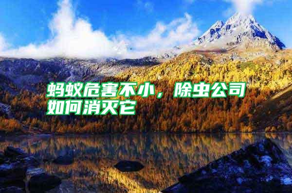 螞蟻危害不小，除蟲公司如何消滅它