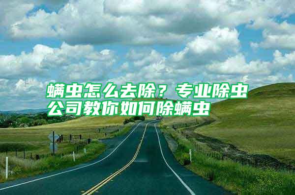 螨蟲怎么去除？專業除蟲公司教你如何除螨蟲