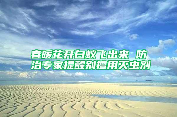 春暖花開白蟻飛出來 防治專家提醒別擅用滅蟲劑