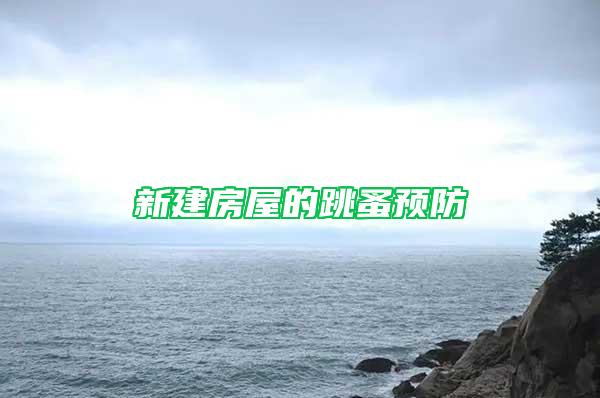 新建房屋的跳蚤預防