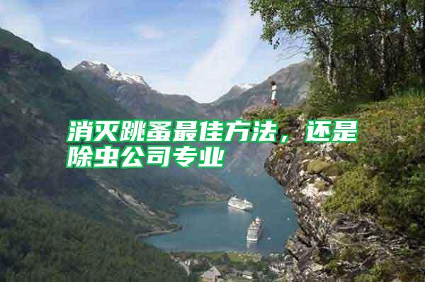 消滅跳蚤最佳方法，還是除蟲(chóng)公司專業(yè)
