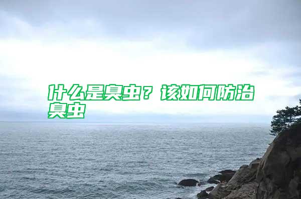 什么是臭蟲(chóng)？該如何防治臭蟲(chóng)