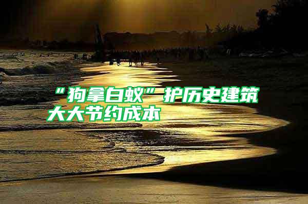 “狗拿白蟻”護歷史建筑 大大節約成本