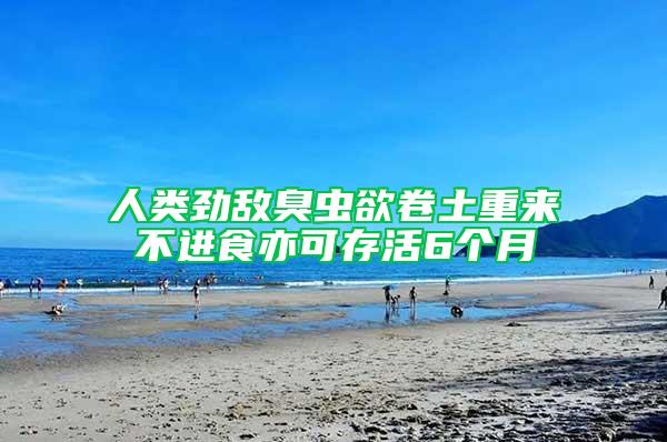 人類勁敵臭蟲欲卷土重來(lái) 不進(jìn)食亦可存活6個(gè)月