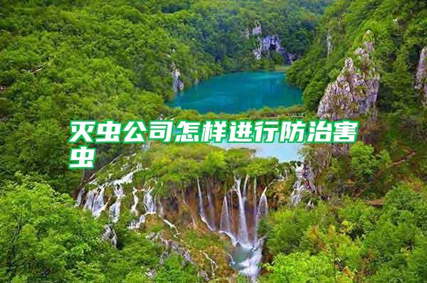 滅蟲公司怎樣進行防治害蟲