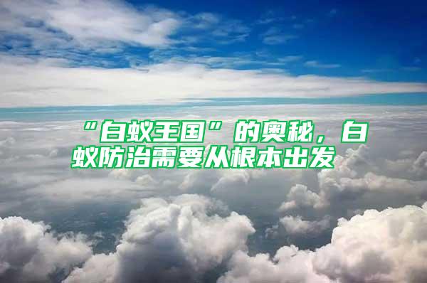 “白蟻王國”的奧秘，白蟻防治需要從根本出發(fā)