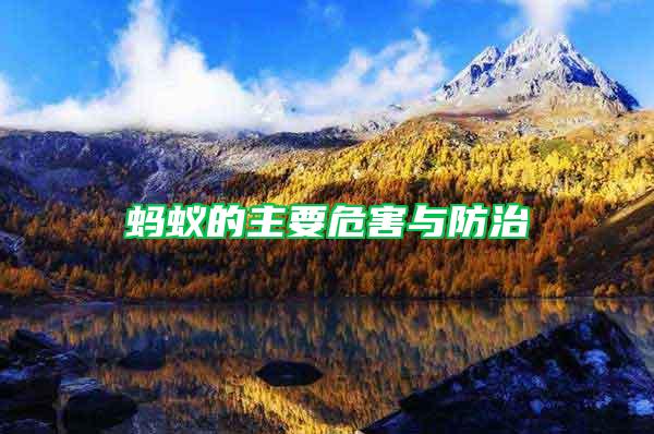 螞蟻的主要危害與防治