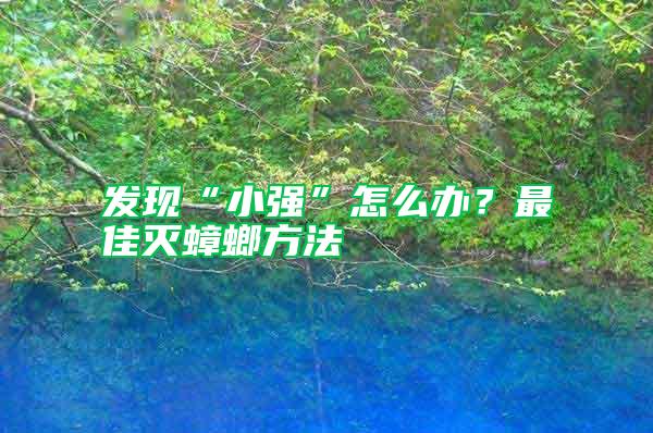 發(fā)現(xiàn)“小強”怎么辦？最佳滅蟑螂方法