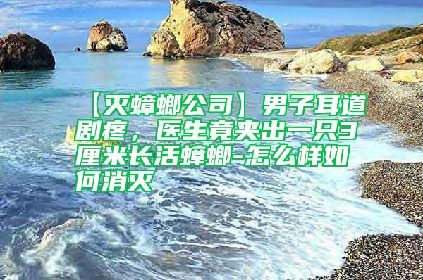 【滅蟑螂公司】男子耳道劇疼，醫生竟夾出一只3厘米長活蟑螂-怎么樣如何消滅