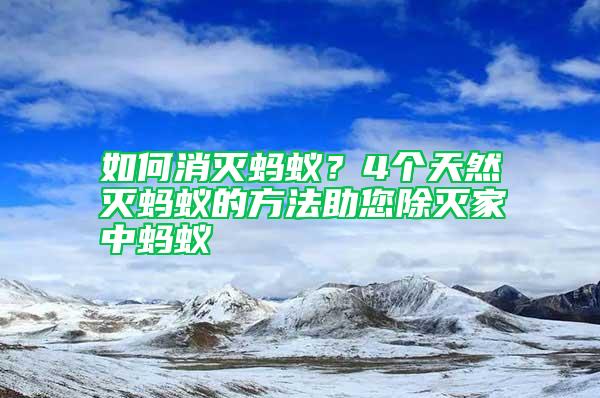 如何消滅螞蟻？4個天然滅螞蟻的方法助您除滅家中螞蟻