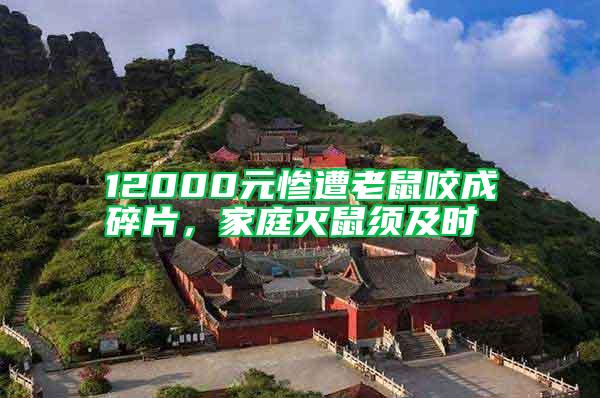 12000元慘遭老鼠咬成碎片，家庭滅鼠須及時