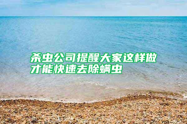殺蟲公司提醒大家這樣做才能快速去除螨蟲