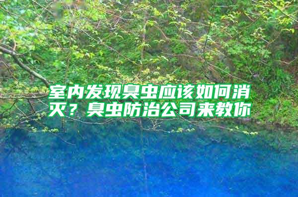 室內(nèi)發(fā)現(xiàn)臭蟲應(yīng)該如何消滅？臭蟲防治公司來教你