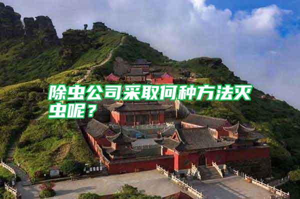 除蟲公司采取何種方法滅蟲呢？