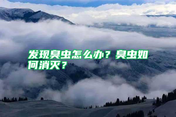 發現臭蟲怎么辦？臭蟲如何消滅？