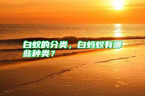 白蟻的分類，白螞蟻有哪些種類？