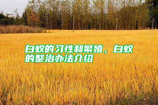 白蟻的習性和繁殖，白蟻的整治辦法介紹