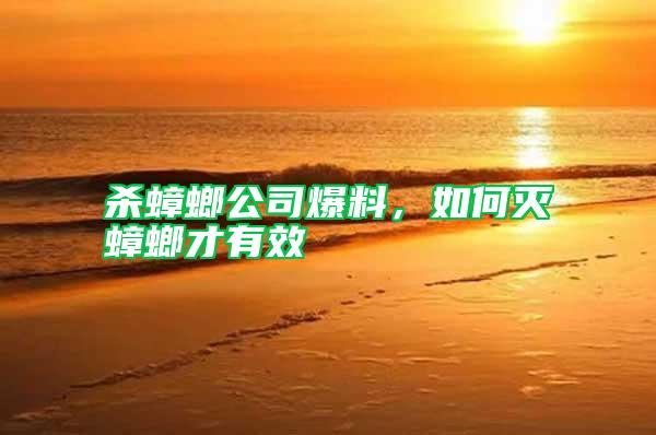 殺蟑螂公司爆料，如何滅蟑螂才有效
