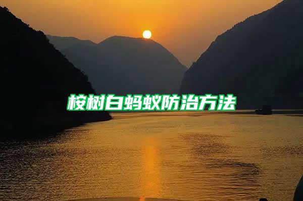 桉樹白螞蟻防治方法