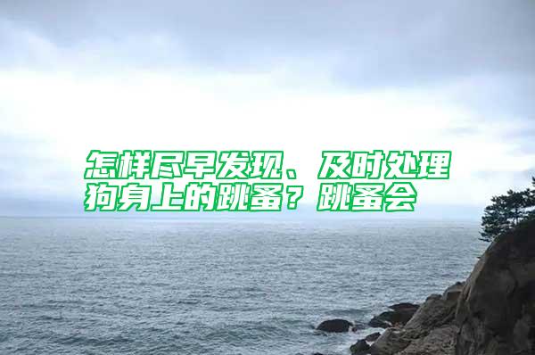 怎樣盡早發現、及時處理狗身上的跳蚤？跳蚤會