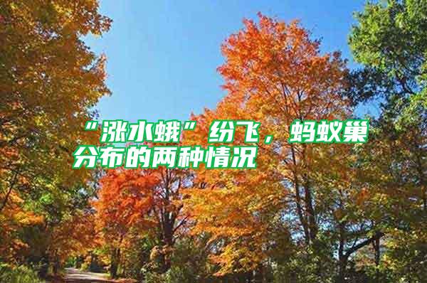 “漲水蛾”紛飛，螞蟻巢分布的兩種情況
