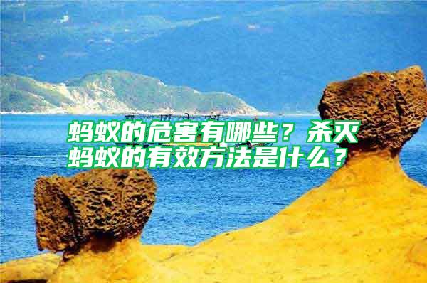 螞蟻的危害有哪些？殺滅螞蟻的有效方法是什么？