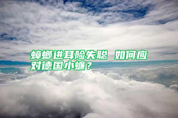 蟑螂進(jìn)耳險(xiǎn)失聰 如何應(yīng)對德國小蠊？