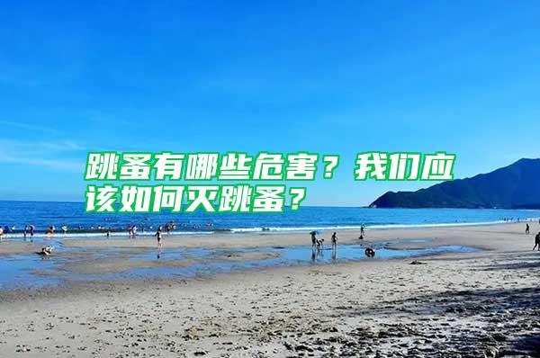 跳蚤有哪些危害？我們應該如何滅跳蚤？