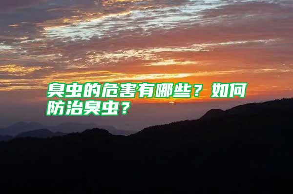臭蟲(chóng)的危害有哪些？如何防治臭蟲(chóng)？