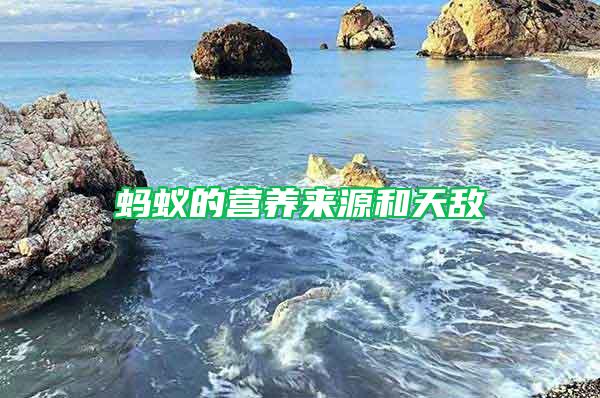 螞蟻的營養(yǎng)來源和天敵