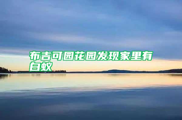 布吉可園花園發現家里有白蟻