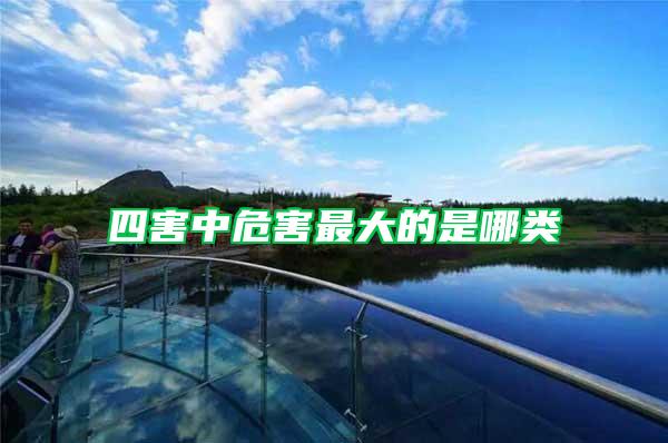 四害中危害最大的是哪類(lèi)