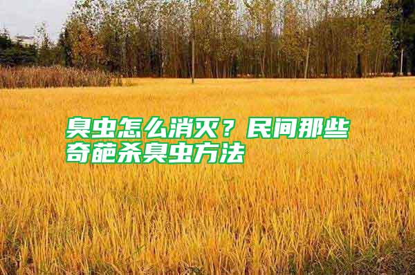 臭蟲怎么消滅？民間那些奇葩殺臭蟲方法