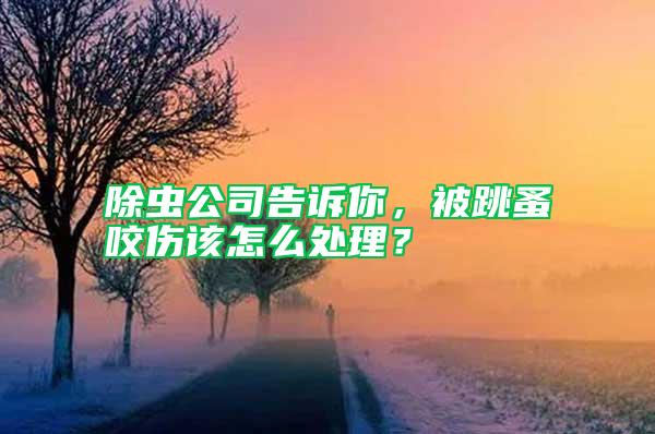除蟲公司告訴你，被跳蚤咬傷該怎么處理？