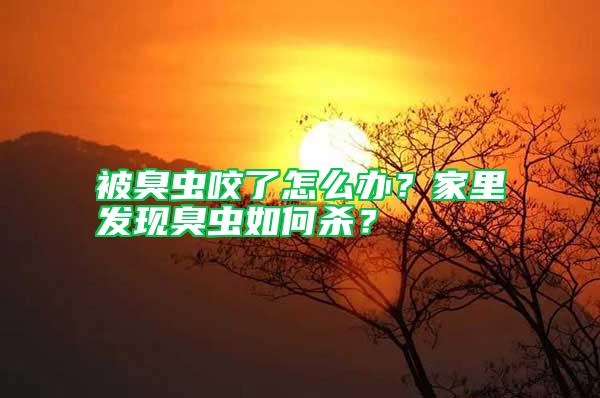 被臭蟲咬了怎么辦？家里發現臭蟲如何殺？