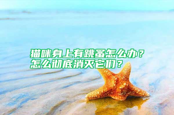 貓咪身上有跳蚤怎么辦？怎么徹底消滅它們？