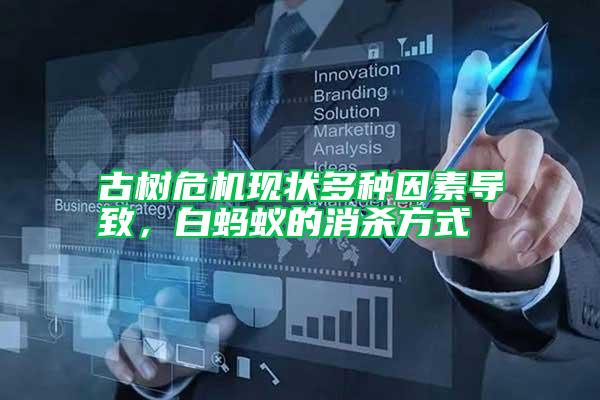 古樹危機(jī)現(xiàn)狀多種因素導(dǎo)致，白螞蟻的消殺方式