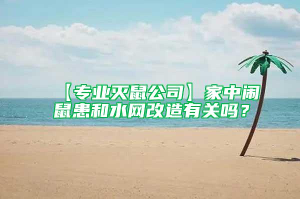 【專業(yè)滅鼠公司】家中鬧鼠患和水網(wǎng)改造有關(guān)嗎？