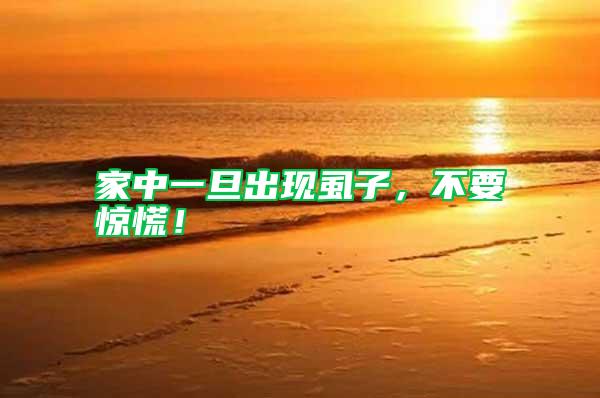 家中一旦出現虱子，不要驚慌！