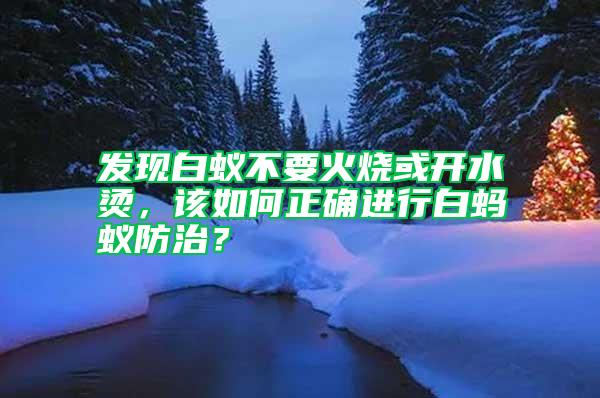 發(fā)現(xiàn)白蟻不要火燒或開水燙，該如何正確進(jìn)行白螞蟻防治？