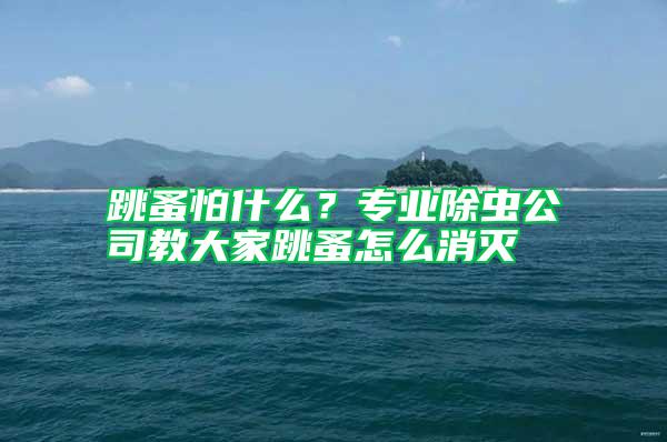 跳蚤怕什么？專業除蟲公司教大家跳蚤怎么消滅