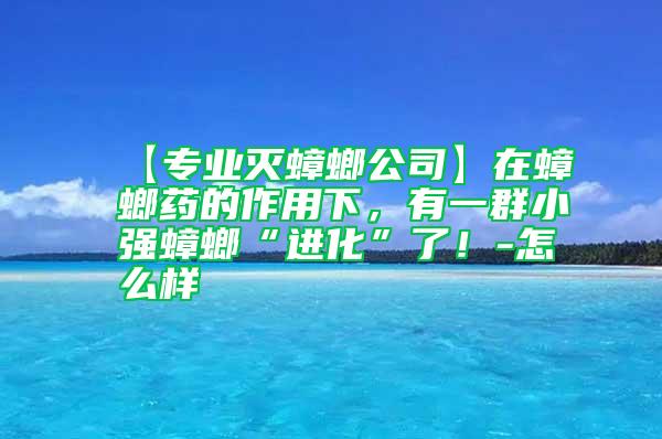 【專業滅蟑螂公司】在蟑螂藥的作用下，有一群小強蟑螂“進化”了！-怎么樣