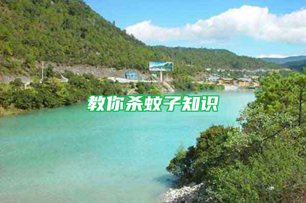 教你殺蚊子知識(shí)