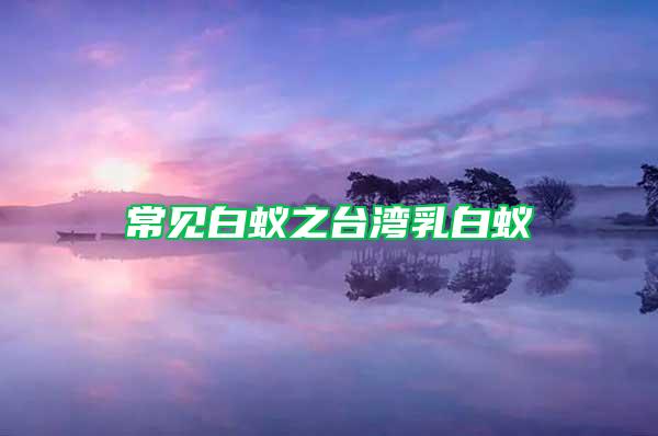 常見(jiàn)白蟻之臺(tái)灣乳白蟻