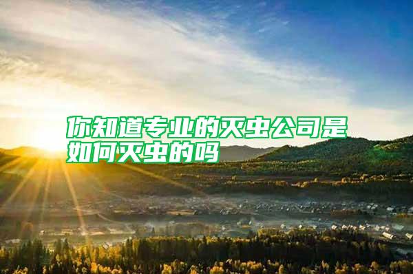 你知道專業的滅蟲公司是如何滅蟲的嗎