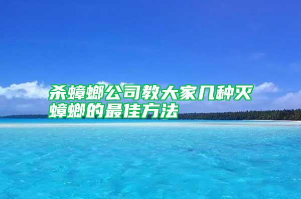 殺蟑螂公司教大家?guī)追N滅蟑螂的最佳方法