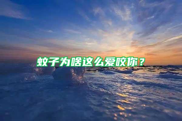 蚊子為啥這么愛咬你？