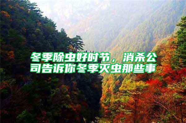 冬季除蟲好時節，消殺公司告訴你冬季滅蟲那些事